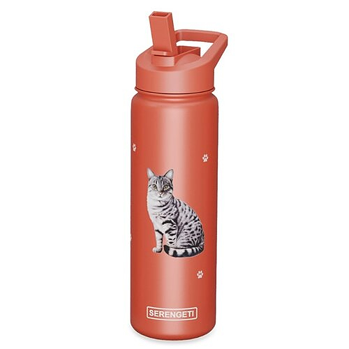 Water Bottle - Silver Tabby